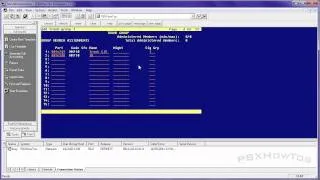 ISDN Trunking Basics - Part 2 - Configuring the Trunk - R12 - HD