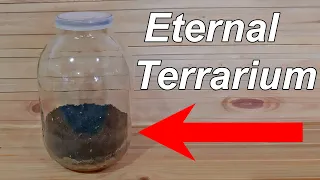 I'm creating a new Eternal terrarium