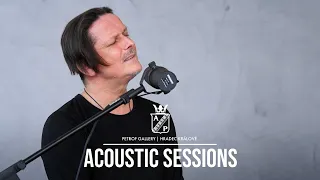 CHINASKI - Báseň | PETROF Acoustic Sessions | LIVE