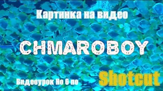 Как расположить картинку на видео в программе Shotcut.