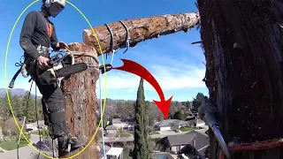 Top 10 Dangerous Tree Feeling Fails With Chainsaw ! Idiots Tree Falling Skills Compilation