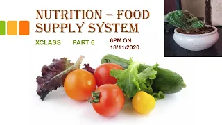 NUTRITION  FOOD SUPPLY SYSTEM    10 TH CLASS