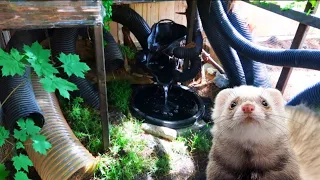 | DIY | OUTDOOR FERRET ENCLOSURE