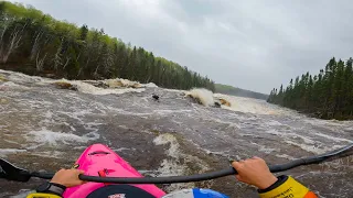 "Joy laps, big water, new waves." | STAKEOUT JOY DAY