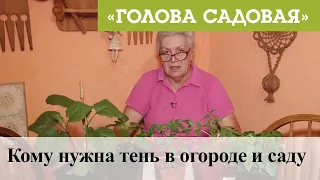 Голова садовая - Кому нужна тень в огороде и саду