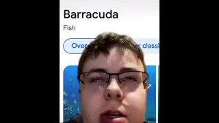 Spell barracuda backwards