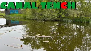 Canal Tench - Whip fishing - Roach and Rudd