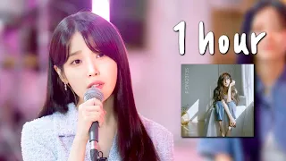 아이유 김세정 '화분' 커버 1시간 | Kim Se-jeong 'Plant' cover by IU [1 HOUR]