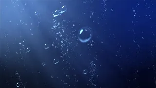 Video Background Stock Footage Free ( Air bubbles rise from the depths of the sea )