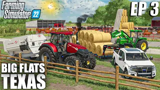 STARTING A CATTLE BUSINESS ON THE FARM | Big Flats Texas | Farming Simulator 22 - Episode 3