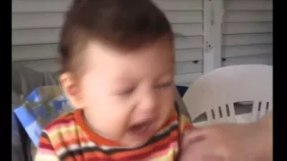 Babies Eating Lemons for the First Time  малыши едят лимон первый раз 0011