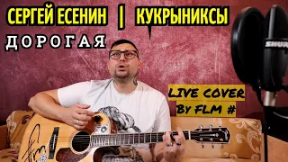 Сергей Есенин | Кукрыниксы - Дорогая ( Live cover By FLM # )