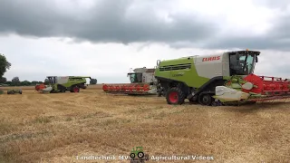 Claas - Fendt / Getreideernte - Grain Harvest  2021