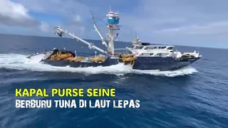 Berburu Tuna di Laut Lepas menggunakan Kapal Purse Seine Moderen