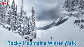 Rocky Mountains Winter❄️Snow Walk