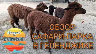 #Геленджик в 1 клик. Сафари парк 2020. Канатная дорога. Террариум. Обзор, цены.