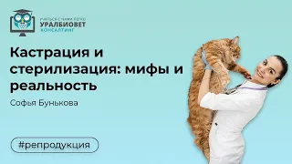 Кастрация и стерилизация:  мифы и реальность.  Лектор Софья Бунькова