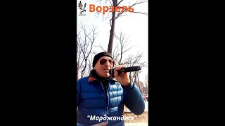 Нікопольський музикант-співак в Ворзелі, 8 березня, 2024 р. - Віктор Каракуша