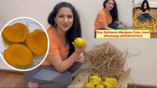 Unboxing Alphonso Mango | Best Affordable DEVGAD Alphonso Aam | Online Shopping Mango India