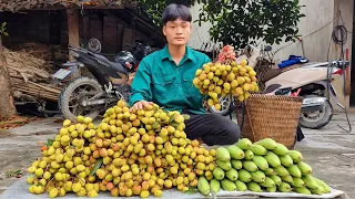 FULL VIDEO : Harvest melon, Corn, Cucumber, Forest fruit, Go to market