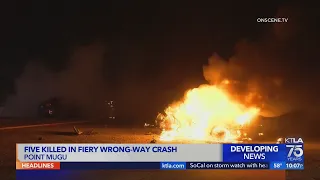 5 killed in fiery wrong-way crash