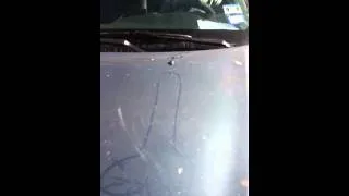 Penis on car