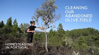Cleaning our abandoned olive field - Not used in decades! - Our off-grid system set-up