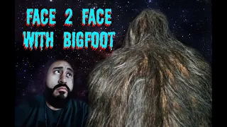 Face to Face with a BIGFOOT