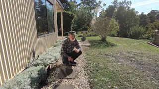 Making a Garden Path? Forget Pebbles!