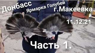 Ярмарка голубей в Макеевке Часть 1. (11.12.21г.). Донбасс.