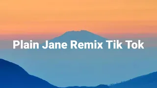 Plain Jane (Roberto Kan Remix) Tik Tok Hot