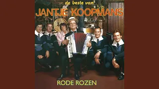 Rode Rozen