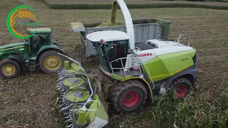 Siláž 2021 // 3x John Deere // Claas Jaguar // PD Inovec Trenčianske Stankovce