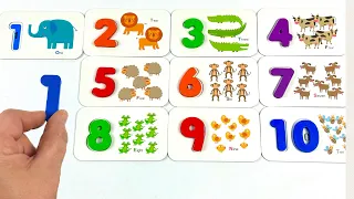 Best Learn Numbers and Counting 1 to 10 | Flash Cards Activity | Preschool Learning Toy Video