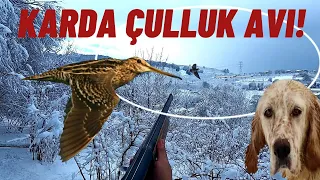 Çulluklar Karla Birlikte Geldiler! | Setter Köpek | Karda Çulluk Avı | Hunting Woodcock