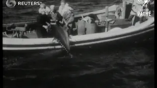 Nova Scotia International Tuna Tournament 1949 (1949)