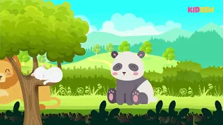 Relaxing Music For Children, be Calm and Focused with cute animals