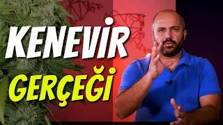 KENEVİR GERÇEĞİ - NEDEN YASAK? ÜLKEMİZİ KURTARIR MI?