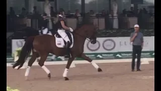 Carl Hester Masterclass: Maximizing the Medium Trot in Dressage