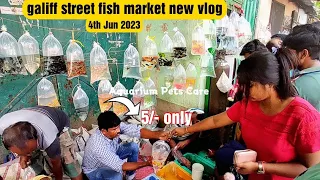 Recent Aquarium Fish Price Update | Galiff street Fish Market | Galiff Street new video 4th Jun 2023