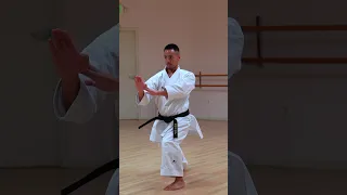 BASSAI DAI 🥋🔥