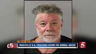 Nashville man sentenced to 90 days after animal cruelty, hoarding cats