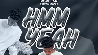Popular (mr zoom zoom)-HMM YEAH [official audio ]