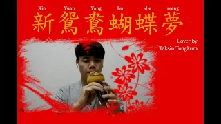 新鴛鴦蝴蝶夢 (Xin Yuan Yang hu die meng) - ขลุ่ยน้ำเต้า cover