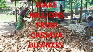 The Ultimate Guide to Profitable Cassava Farming in Nigeria