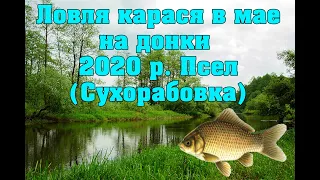 Ловля карася в мае 2020 на донки р Псел (Сухорабовка)