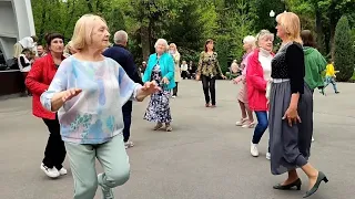 ТЫ МЕНЯ СВЕЛА С УМА! ТАНЦЫ ХАРЬКОВ АПРЕЛЬ 2024 #retrodancing