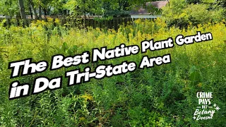 The Coolest Native Plant Garden in the Tri-State Area