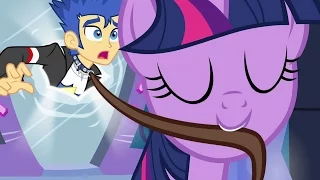 Top 10 Canon Ships In My Little Pony