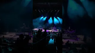 Lastlings at the red rocks